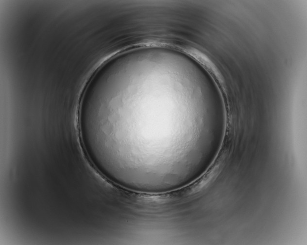 X0000089890855200707121830