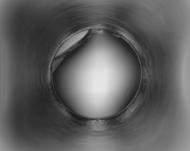 X0000089890858200707121830