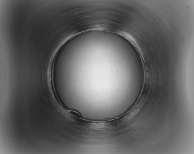 X0000089890859200707121830