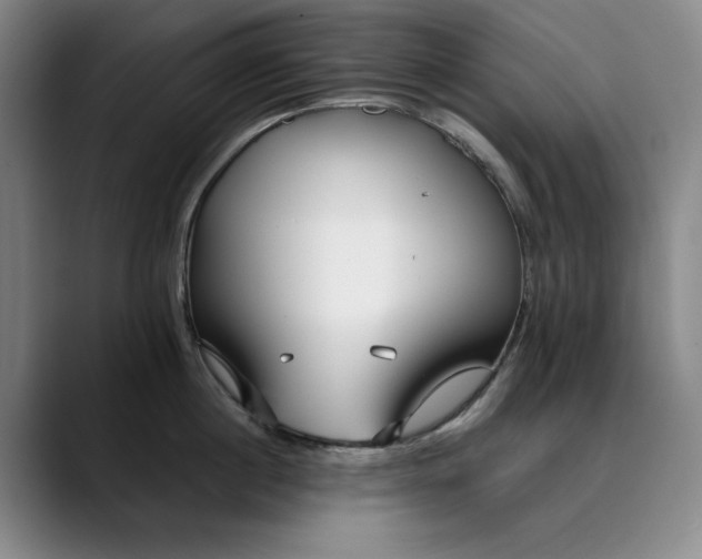 X0000089890860200707121830