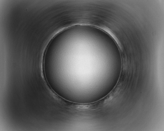 X0000089890861200707121830