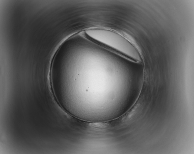 X0000089890863200707121830