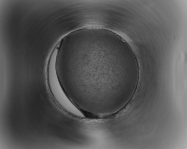 X0000089890864200707121830