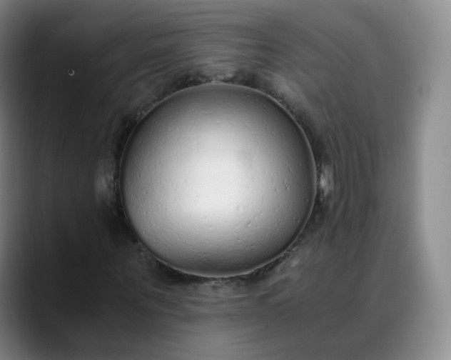 X0000089890867200707121829