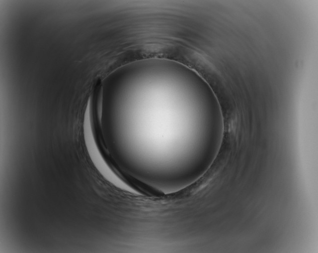 X0000089890868200707121829