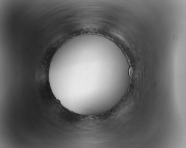 X0000089890869200707121829