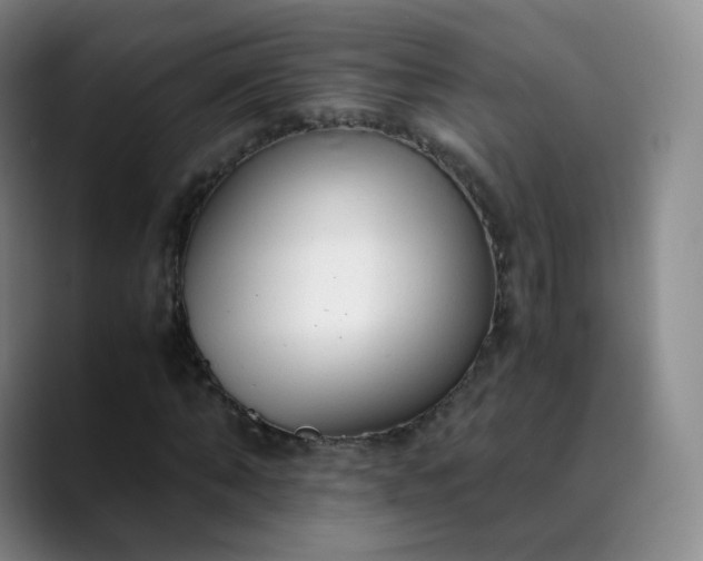 X0000089890870200707121829