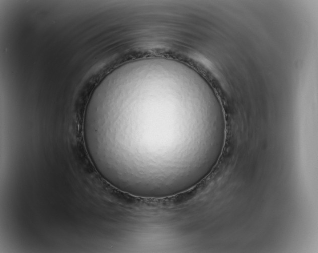 X0000089890871200707121829