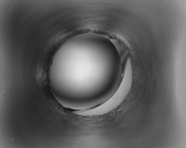 X0000089890872200707121829