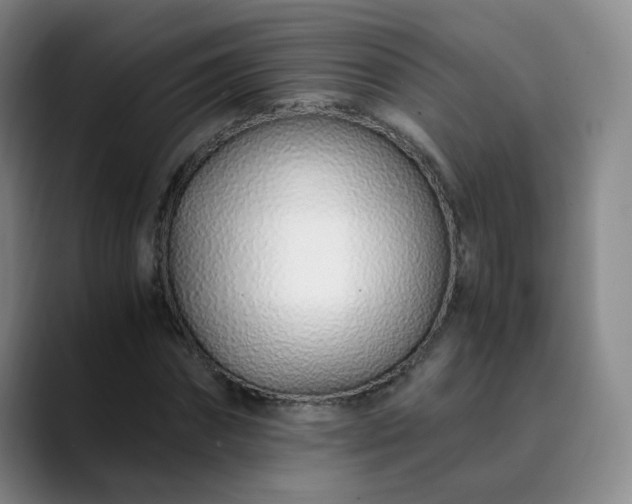 X0000089890874200707121829