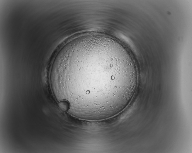 X0000089890875200707121829