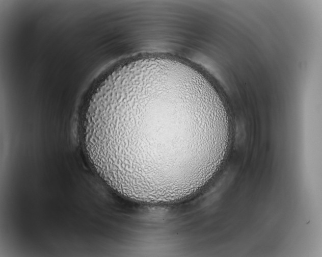 X0000089890878200707121829