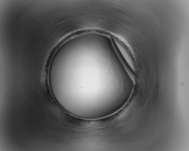 X0000089890879200707121829