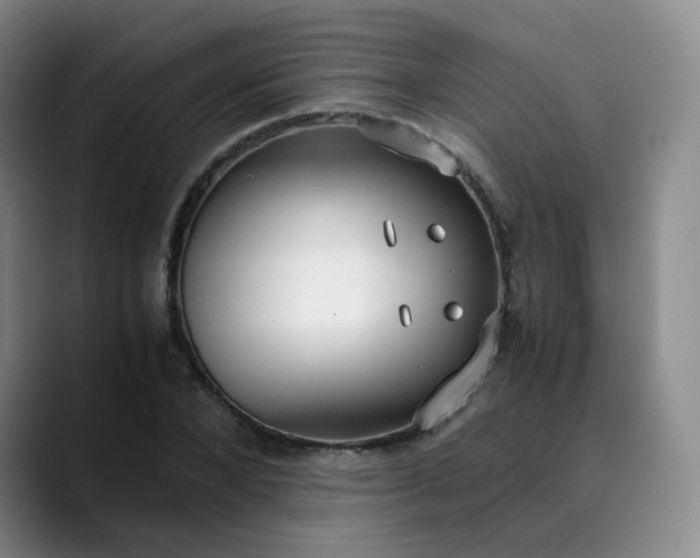 X0000089890880200707121829