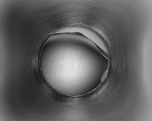 X0000089890881200707121829