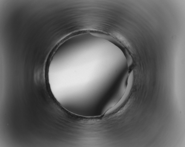 X0000089890884200707121829