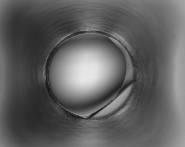 X0000089890885200707121829