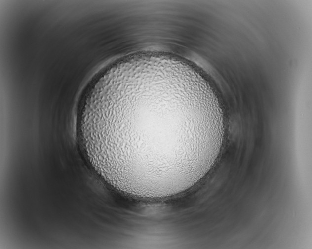 X0000089890886200707121829