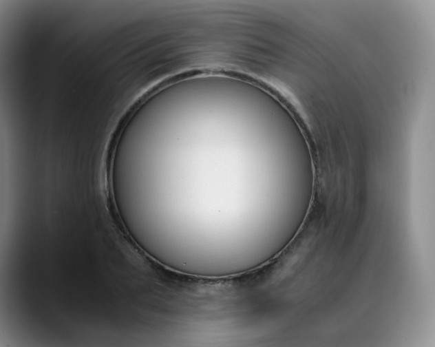 X0000089890887200707121829