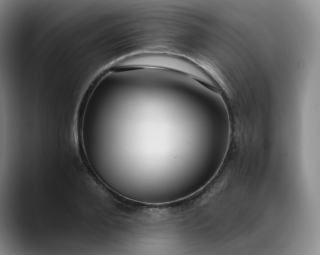 X0000089890888200707121829