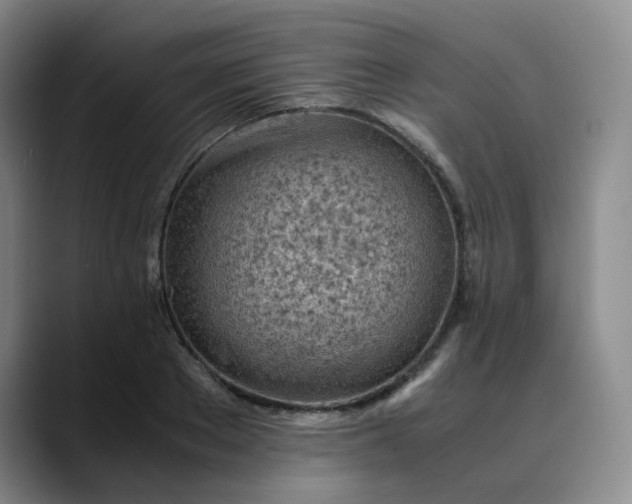 X0000089890889200707121829