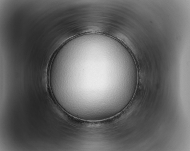 X0000089890890200707121829