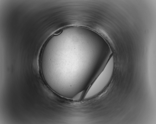 X0000089890892200707121829