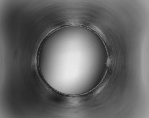 X0000089890893200707121829