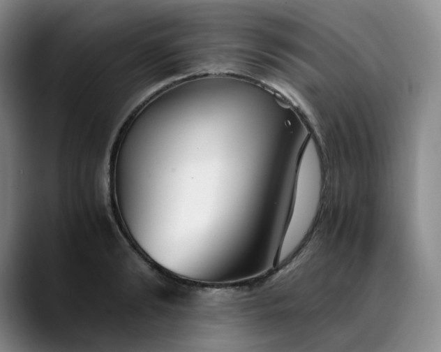 X0000089890894200707121829