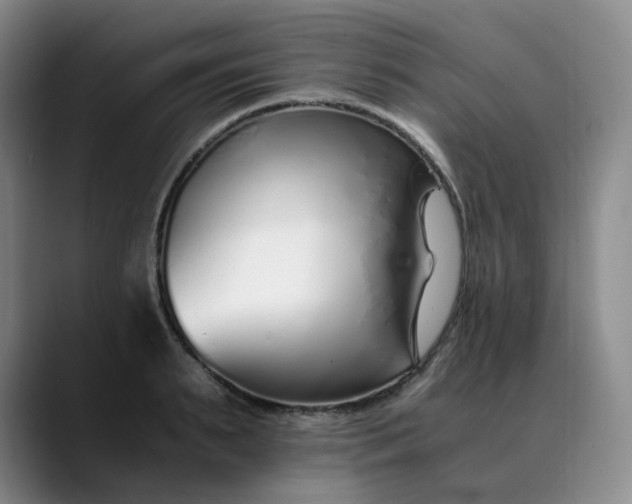 X0000089890895200707121829