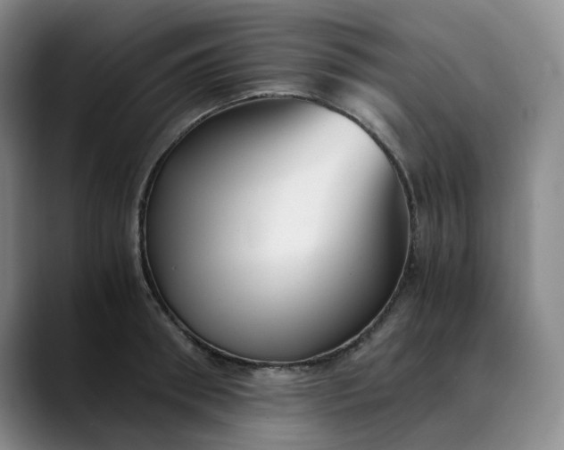 X0000089890898200707121829