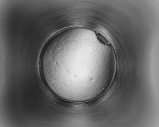 X0000089890899200707121829