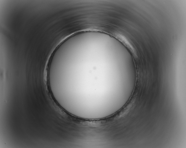 X0000089890900200707121829