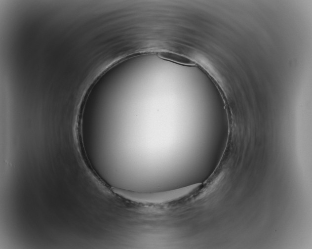 X0000089890901200707121829