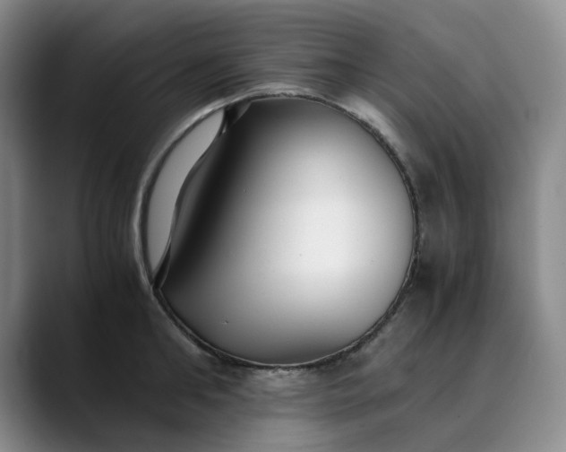 X0000089890902200707121829