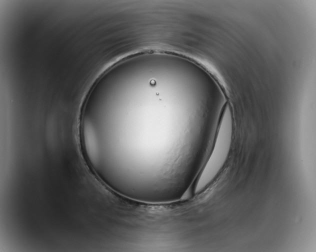 X0000089890903200707121829