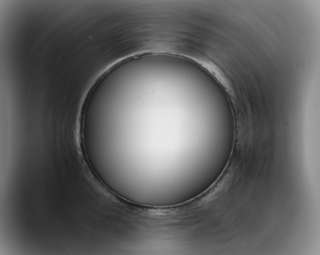 X0000089890904200707121829