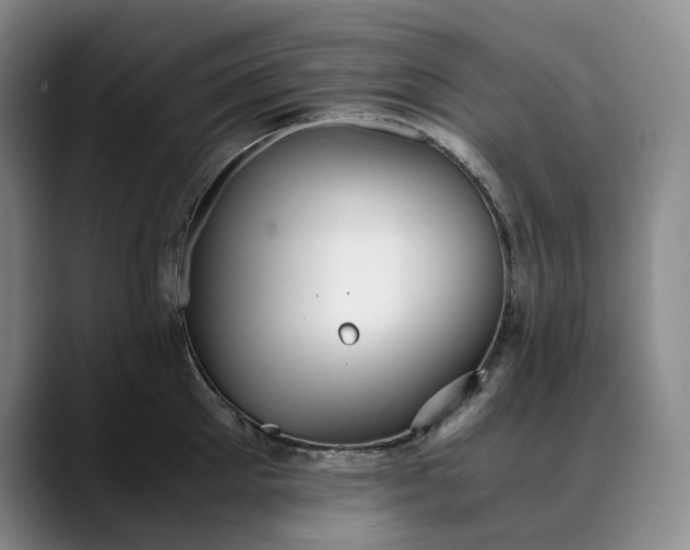 X0000089890905200707121829