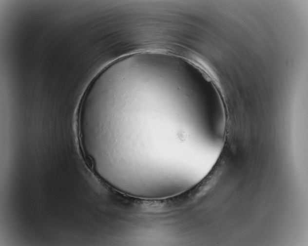 X0000089890907200707121829