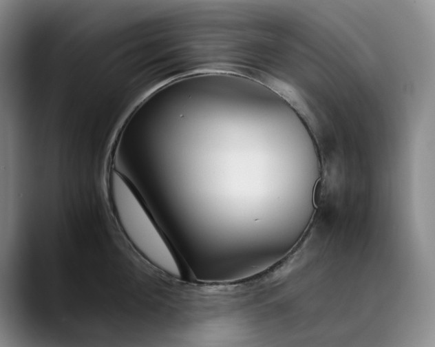 X0000089890908200707121829