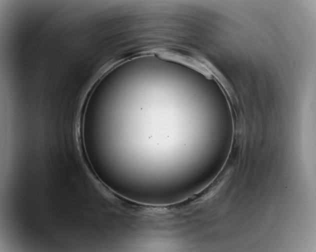 X0000089890909200707121829