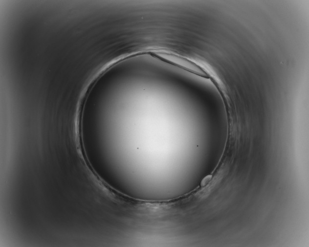 X0000089890910200707121829