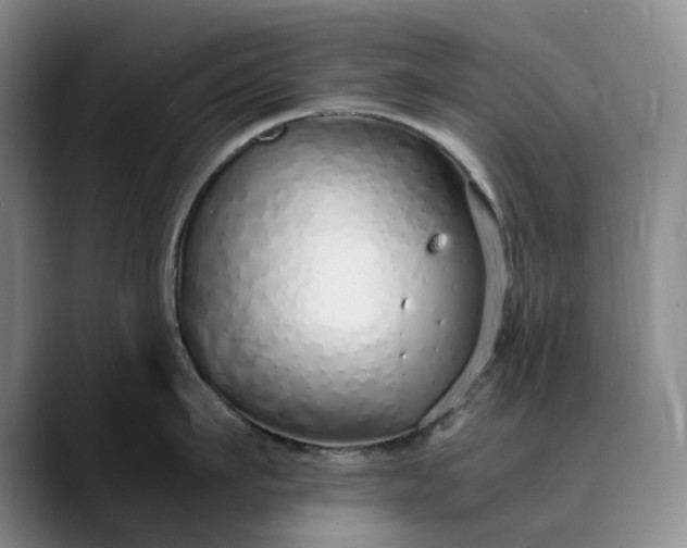 X0000089890911200707121829