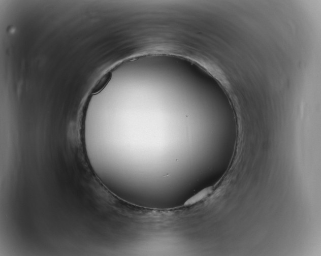 X0000089890912200707121829