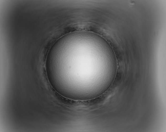 X0000089890913200707121828