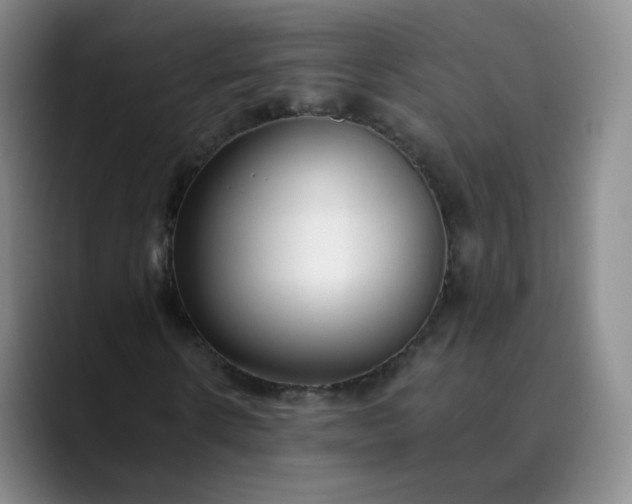 X0000089890914200707121828