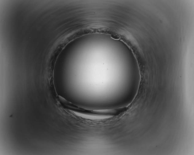 X0000089890920200707121828