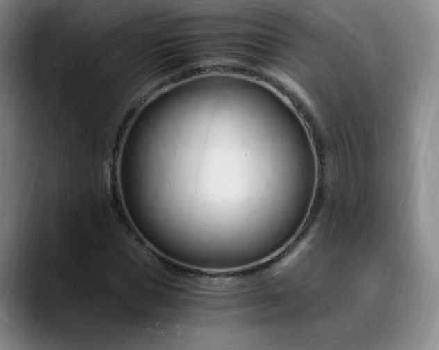 X0000089890921200707121828