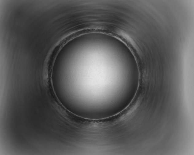 X0000089890923200707121828