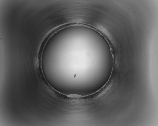 X0000089890924200707121828